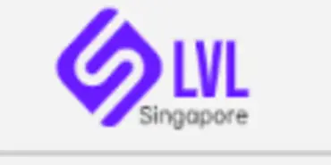 Lvl Singapore PTE - Финансовые организации
